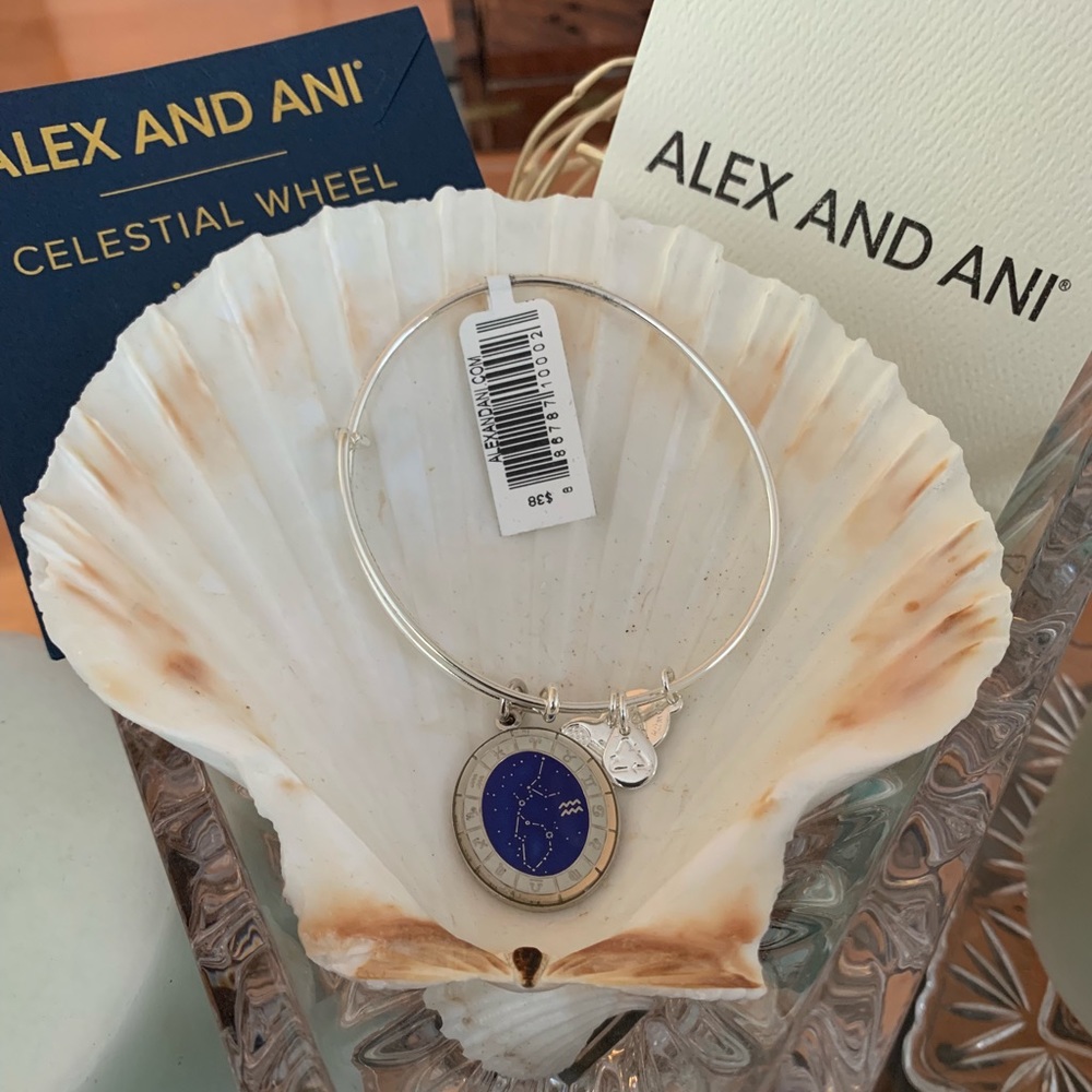 Alex and Ani Aquarius Zodiac Celestial Wheel